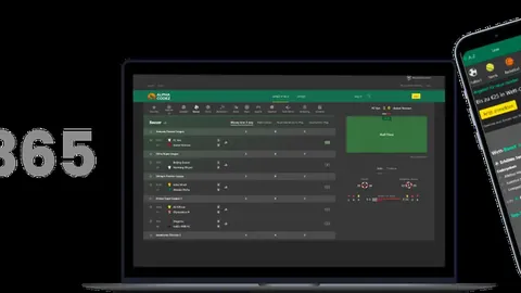 费德勒南美洲之旅安保简化：力求基本安全护航